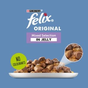 Felix Mixed Selection In Jelly Cat Food, 100 g (Pack of 40)